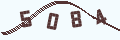 验证码